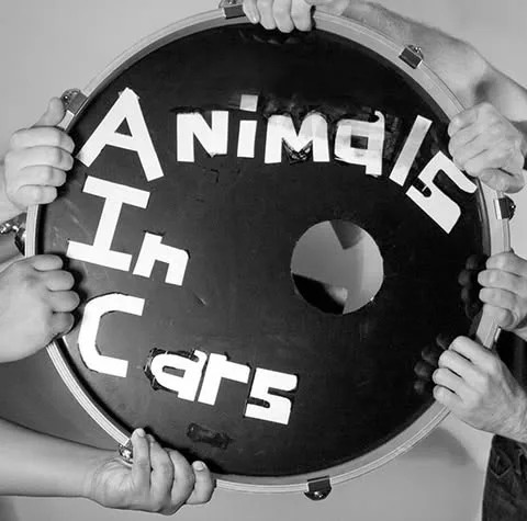 Animals in Cars photo