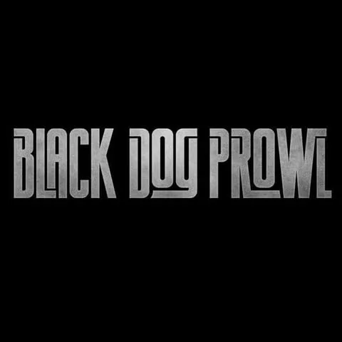 Black Dog Prowl photo